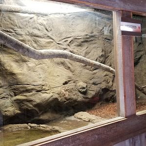 Plumpton Park Zoo - Boa and Burmese exhibit