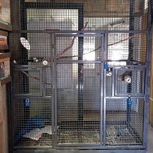 Plumpton Park Zoo - Blue & Gold Macaw cage