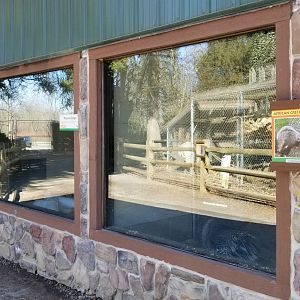 Plumpton Park Zoo - Building with porcupines and prairie dogs