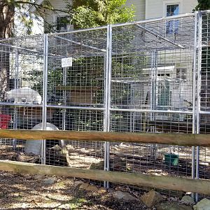 Plumpton Park Zoo - Arctic fox