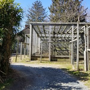 Plumpton Park Zoo - Gated entrance to large carnivore area