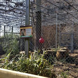 Plumpton Park Zoo - Left side of cougar enclosure