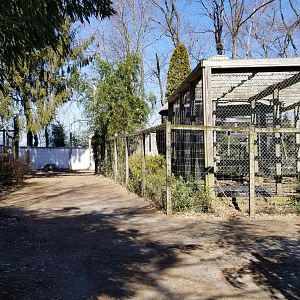 Plumpton Park Zoo - View from inside of exit/entrance to area gate