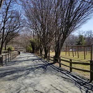 Plumpton Park Zoo - path
