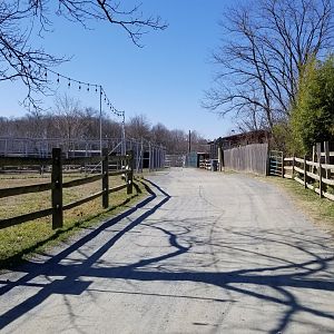 Plumpton Park Zoo - path to second carnivore area