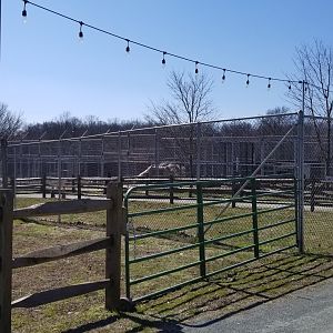 Plumpton Park Zoo - Another view of new carnivore area