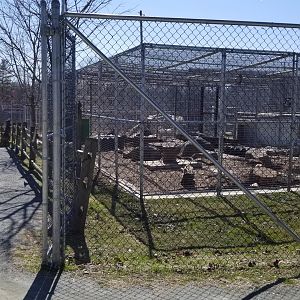 Plumpton Park Zoo - Inside gated carnivore area