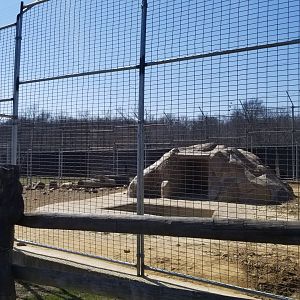 Plumpton Park Zoo - Another eurasian brown bear exhibit