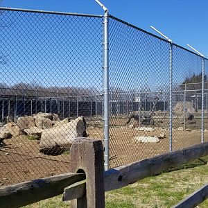 Plumpton Park Zoo - Arctic wolf exhibit 2