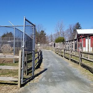 Plumpton Park Zoo - Inside other gate to area