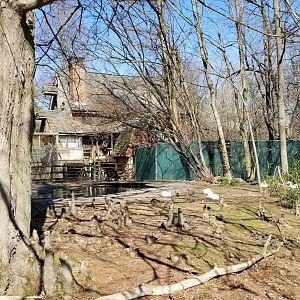 Plumpton Park Zoo - Duck pond