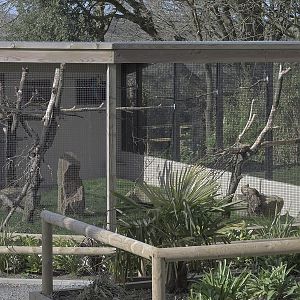 New community aviary