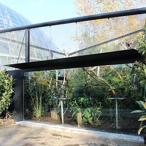 Enclosure Hyacinth macaw