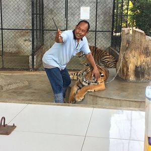 Man with Tiger