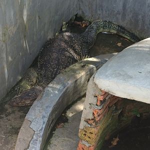 Asian Water Monitor