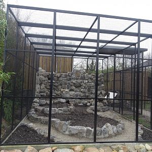 New enclosure for European birds