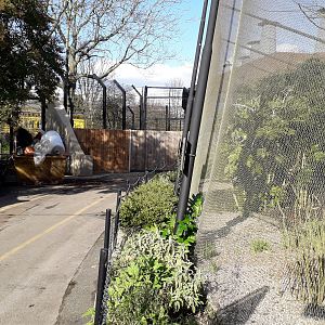 View behind temporary hoardings