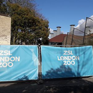 Temporary hoardings behind Land of the Lions