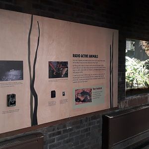 Wildlife surveillance technology display