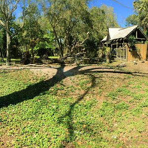 Birds of Africa 2nd View