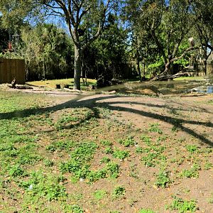 Birds of Africa 3rd View