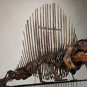 Dimetrodon