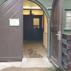 Indoor-enclosures Coati's - Pelicans - Antilopes - Deer