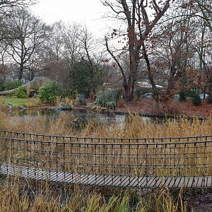Waterfowl pond with Dino-statues