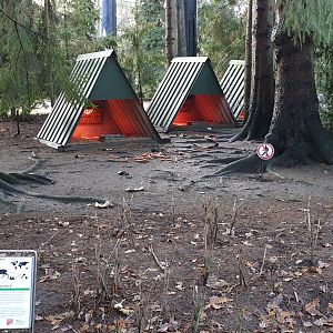 Heathed shelters for free-ranging Mara's
