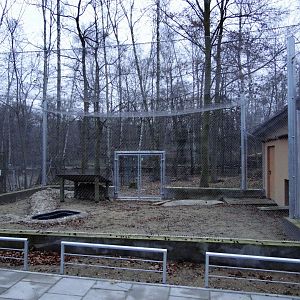 New aviary under construction