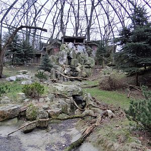 Bearded Vulture aviary