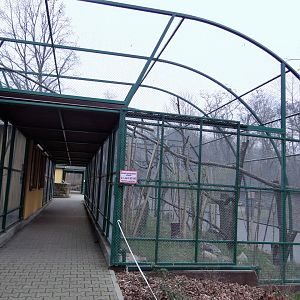 Lemur enclosures after renovation.