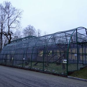 Lemur enclosures after renovation.