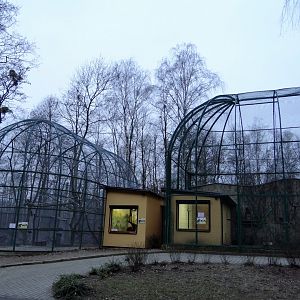 Lemur enclosures after renovation.
