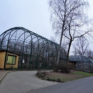 Lemur enclosures after renovation.