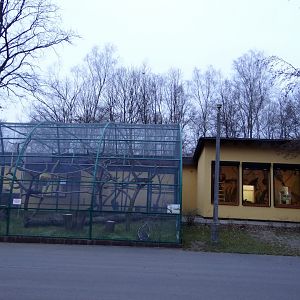 Lemur enclosures after renovation.