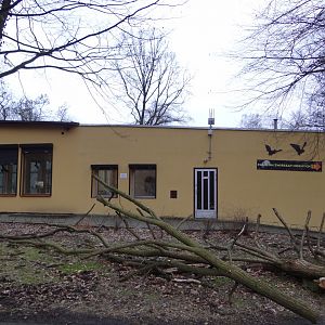 Noctural house after renovation.