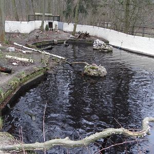European Otter enclosure