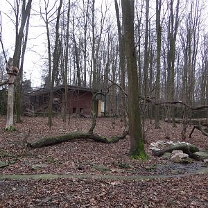 Northern Lynx enclosure