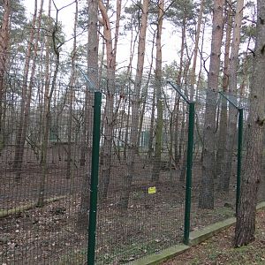 Wolf enclosure