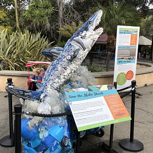 Mako shark recycled art