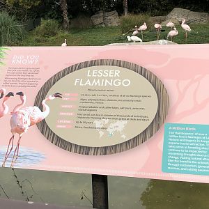 Example of new signage