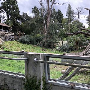 Malayan sun bear exhibit (lower viewing)