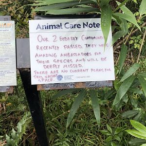 An unfortunate piece of news