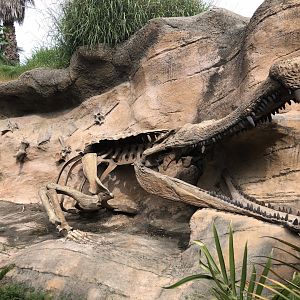 Sarcosuchus imperator skeleton replica