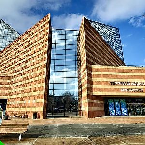 Zoo Tours | Welcome to the Tennessee Aquarium