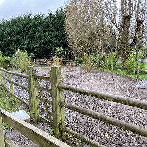 Rhea enclosure 150220