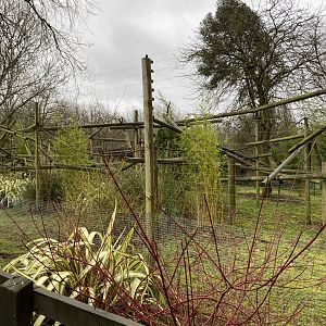 Endangered Amazonia 150220