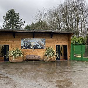 The Dragon's Lair - Komodo dragon exhibit 150220