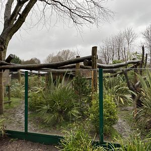 Red panda exhibit 150220